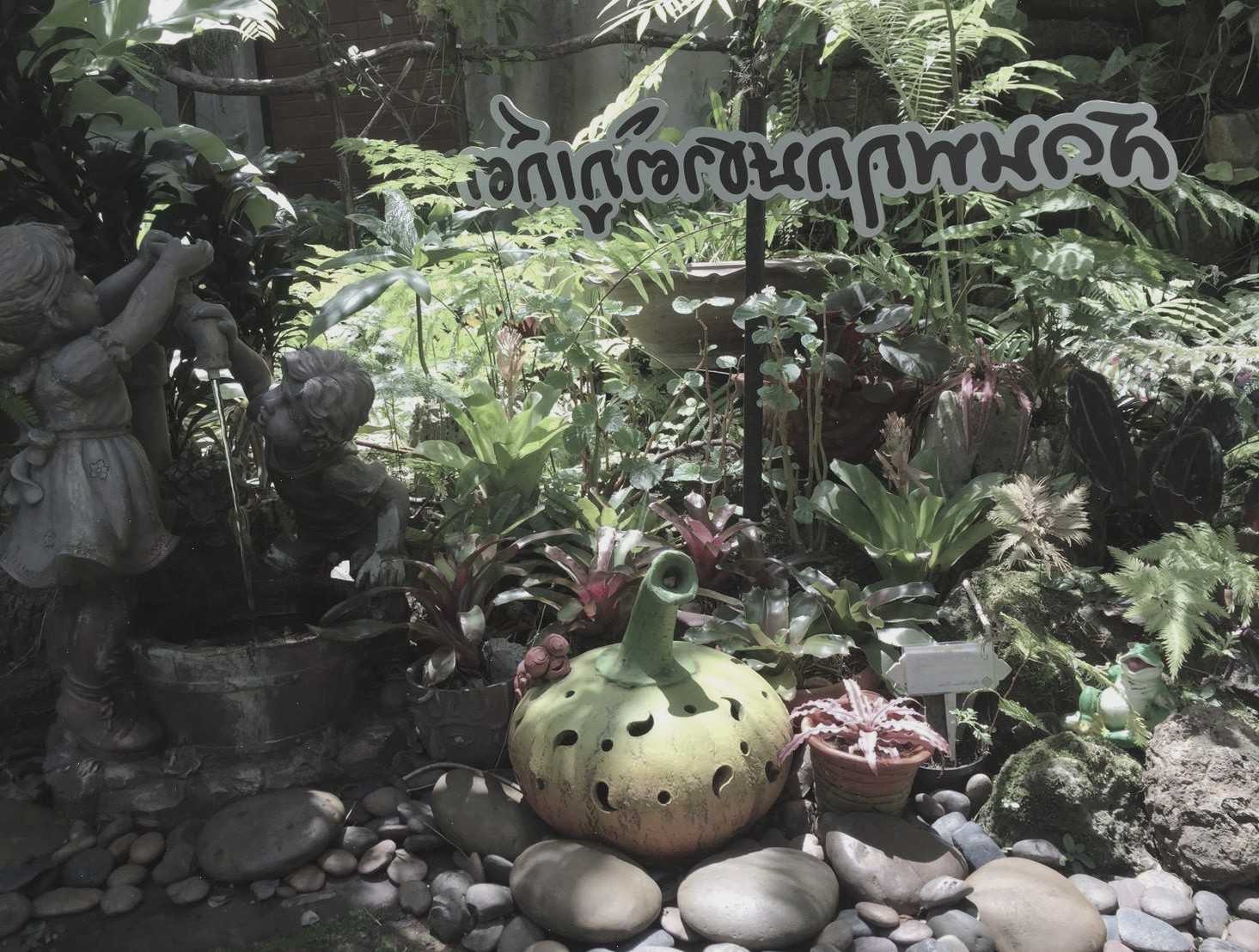 Ботанический сад (Phuket Botanic Garden)