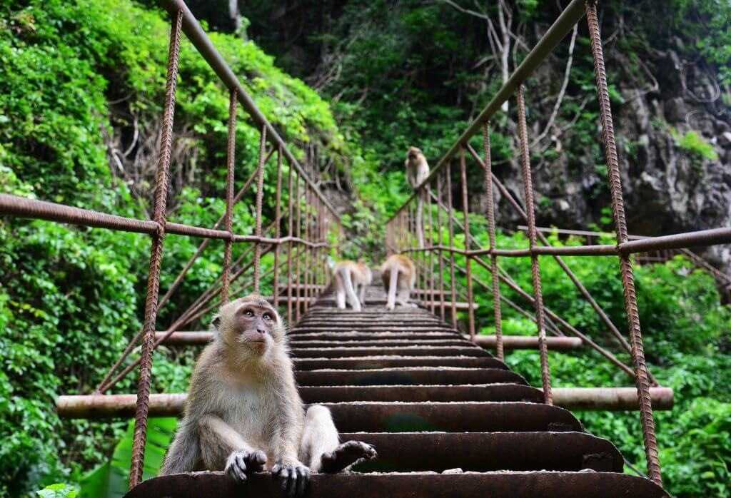 Национальный парк Сиринат (Sirinat National park)